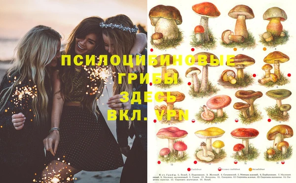 бошки Покров