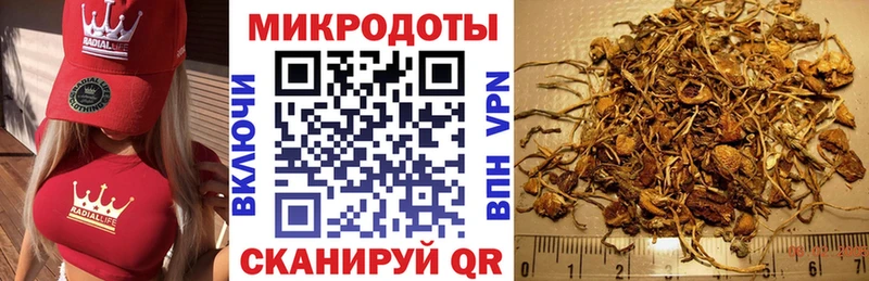что такое   Ялуторовск  Галлюциногенные грибы мухоморы 